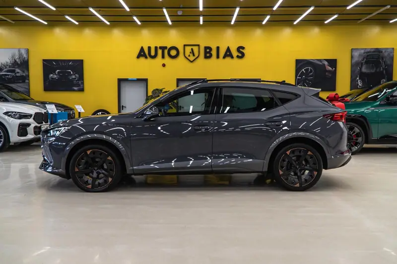 Cupra Formentor — Poza 16