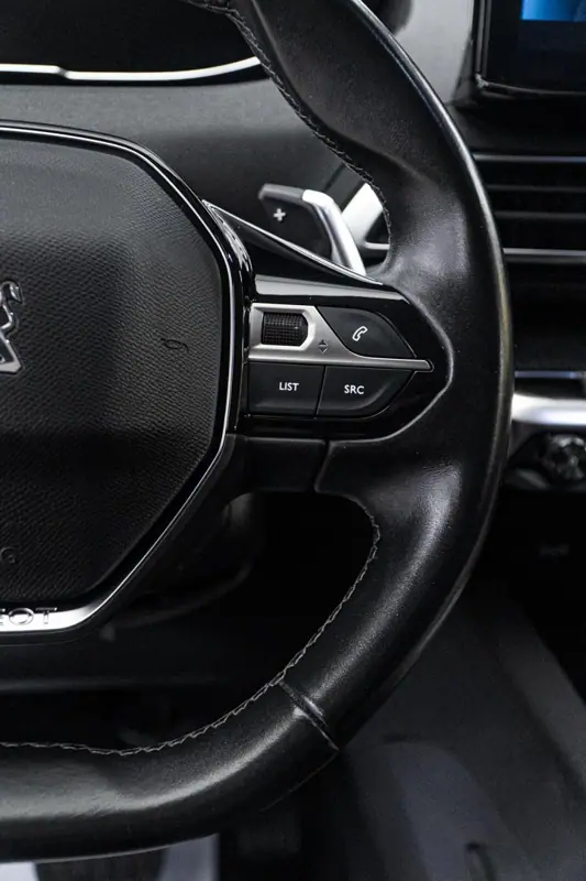 Peugeot 3008 — Poza 18
