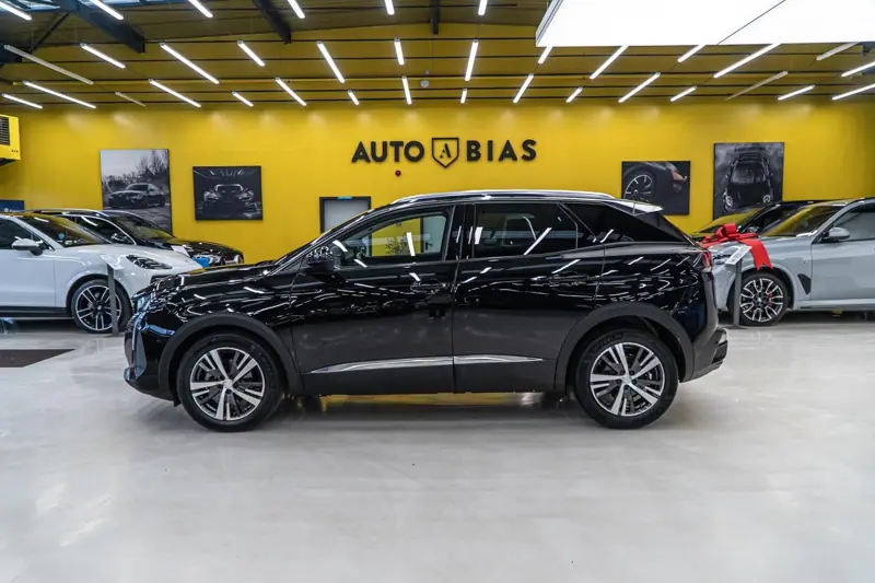 Peugeot 3008 — Poza 16