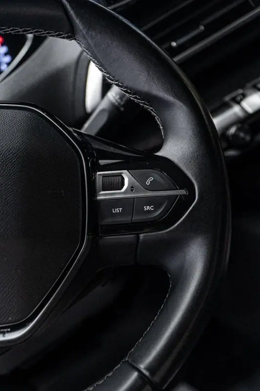 Peugeot 3008 — Poza 29
